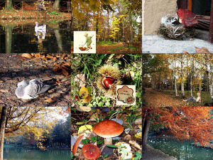 klicke hier, um die Datei herunterzuladen Herbst