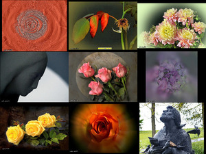 klicke hier, um die Datei herunterzuladen When Time Stood Still Still life - Stilleben
