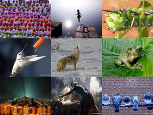 klicke hier, um die Datei herunterzuladen National Geographic 2
