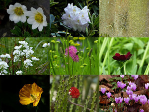 Botanischen-Garten Kerkrade