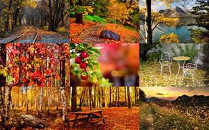 klicke hier, um die Datei herunterzuladen Herbst Melancholie