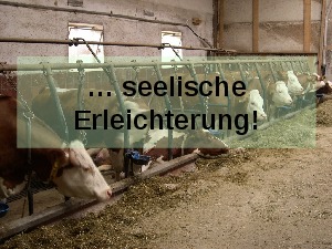 Erleichterung