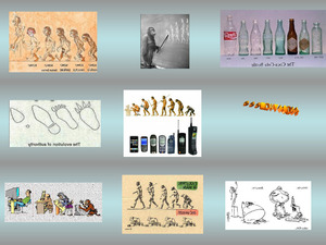 klicke hier, um die Datei herunterzuladen Evolution