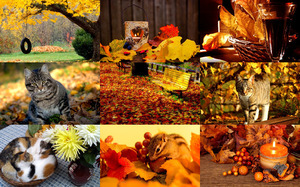 klicke hier, um die Datei herunterzuladen Beautiful Autumn - Judy - Schöne Herbst