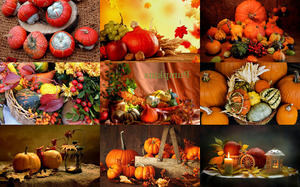 klicke hier, um die Datei herunterzuladen Pumpkins - Kürbisse