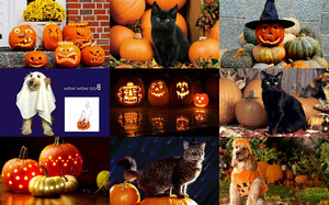 klicke hier, um die Datei herunterzuladen Halloween Mix 1