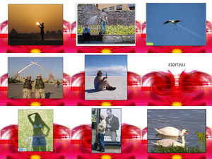 klicke hier, um die Datei herunterzuladen Fotoillusionen