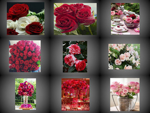 klicke hier, um die Datei herunterzuladen Beautyful Rosen