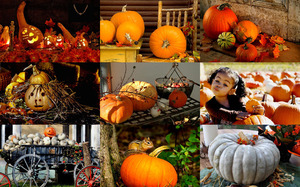 klicke hier, um die Datei herunterzuladen Think Halloween