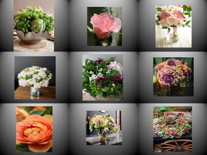 klicke hier, um die Datei herunterzuladen Beautiful Blumen 2
