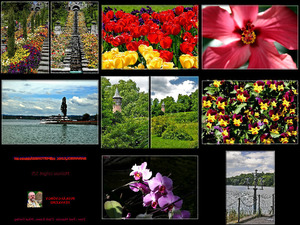 klicke hier, um die Datei herunterzuladen Deutschland-20-Insel Mainau-1-5