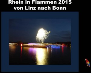 Rhein in Flammen 2015