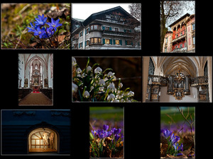 Deutschland-81-Berchtesgaden-mit-Blumen