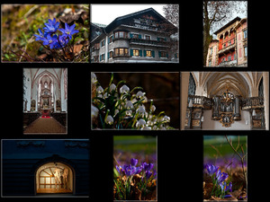 klicke hier, um die Datei herunterzuladen Deutschland-81-Berchtesgaden-mit-Blumen