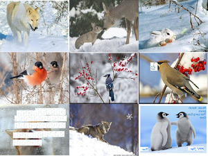 klicke hier, um die Datei herunterzuladen Tiere im Winter