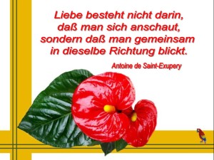 Spr�che-von-Pers�nlichkeiten-8.pps auf www.funpot.net