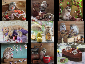 klicke hier, um die Datei herunterzuladen Hedgehogs Igeln - By Eremina Elena