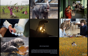 klicke hier, um die Datei herunterzuladen Hoffnungsvolle Bilder von 2016