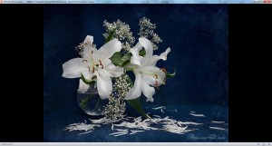 klicke hier, um die Datei herunterzuladen Still-Life Photography - Stillleben Fotografie