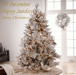 25 Dezember