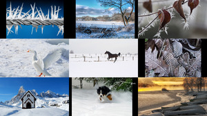 klicke hier, um die Datei herunterzuladen Winter 31