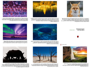 klicke hier, um die Datei herunterzuladen Wildlife Photographer of the Year 2016 Teil 2