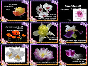 klicke hier, um die Datei herunterzuladen Geduld und schöne Blumen