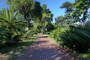 klicke hier, um die Datei herunterzuladen Impressionen aus Suedafrika 1