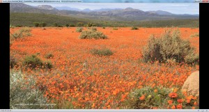 South Africa National Parks - Sdafrika - Nationalparks