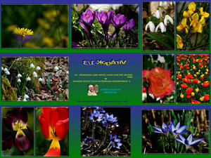 klicke hier, um die Datei herunterzuladen Blumen-1-3