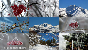 klicke hier, um die Datei herunterzuladen Frostige Zeiten in Wallis