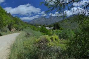 klicke hier, um die Datei herunterzuladen Impressionen aus Suedafrika 3