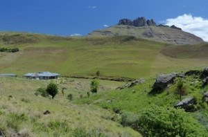 klicke hier, um die Datei herunterzuladen Impressionen aus Suedafrika 4
