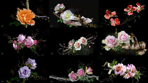 klicke hier, um die Datei herunterzuladen Harlequin - Blumen