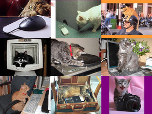 klicke hier, um die Datei herunterzuladen Technicat - Technische Katze