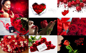 Roses for my Valentine - Rosen fr meinen Valentinsgru