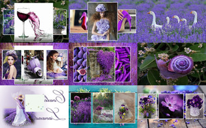 Die Farbe Lavendel - NICHT blttern