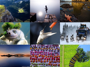 klicke hier, um die Datei herunterzuladen National Geographic 2008