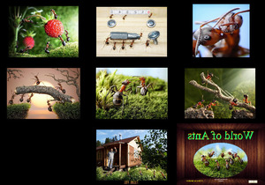 klicke hier, um die Datei herunterzuladen World of Ants - Welt der Ameisen