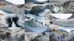 Canada Columbia Icefield.Erika