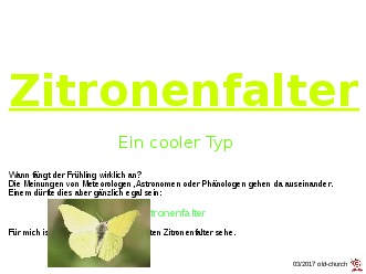 klicke hier, um die Datei herunterzuladen Zitronenfalter - ein cooler Typ