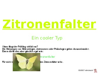 Zitronenfalter - ein cooler Typ