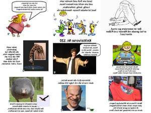 klicke hier, um die Datei herunterzuladen Knittelverse Nr. 120