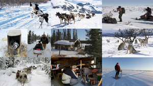 klicke hier, um die Datei herunterzuladen Alaska Week