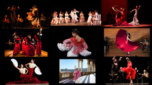 klicke hier, um die Datei herunterzuladen Flamenco