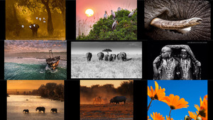 Afrika Geographischer Fotograf des Jahres 2017 - 3