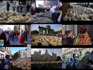 klicke hier, um die Datei herunterzuladen Lammfiesta in Madrid