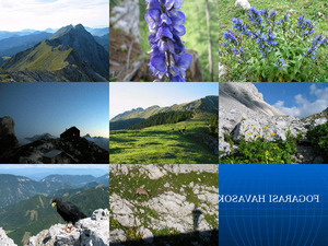 klicke hier, um die Datei herunterzuladen Fogaras Alpen