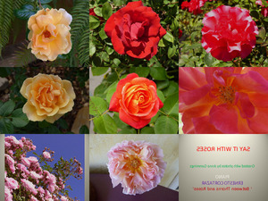 klicke hier, um die Datei herunterzuladen Say It With Roses - Sagen Sie es mit Rosen