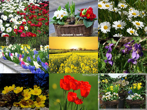 klicke hier, um die Datei herunterzuladen Frühling
